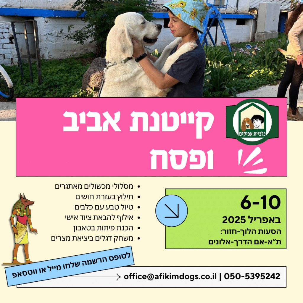 קייטנת פסח 2025