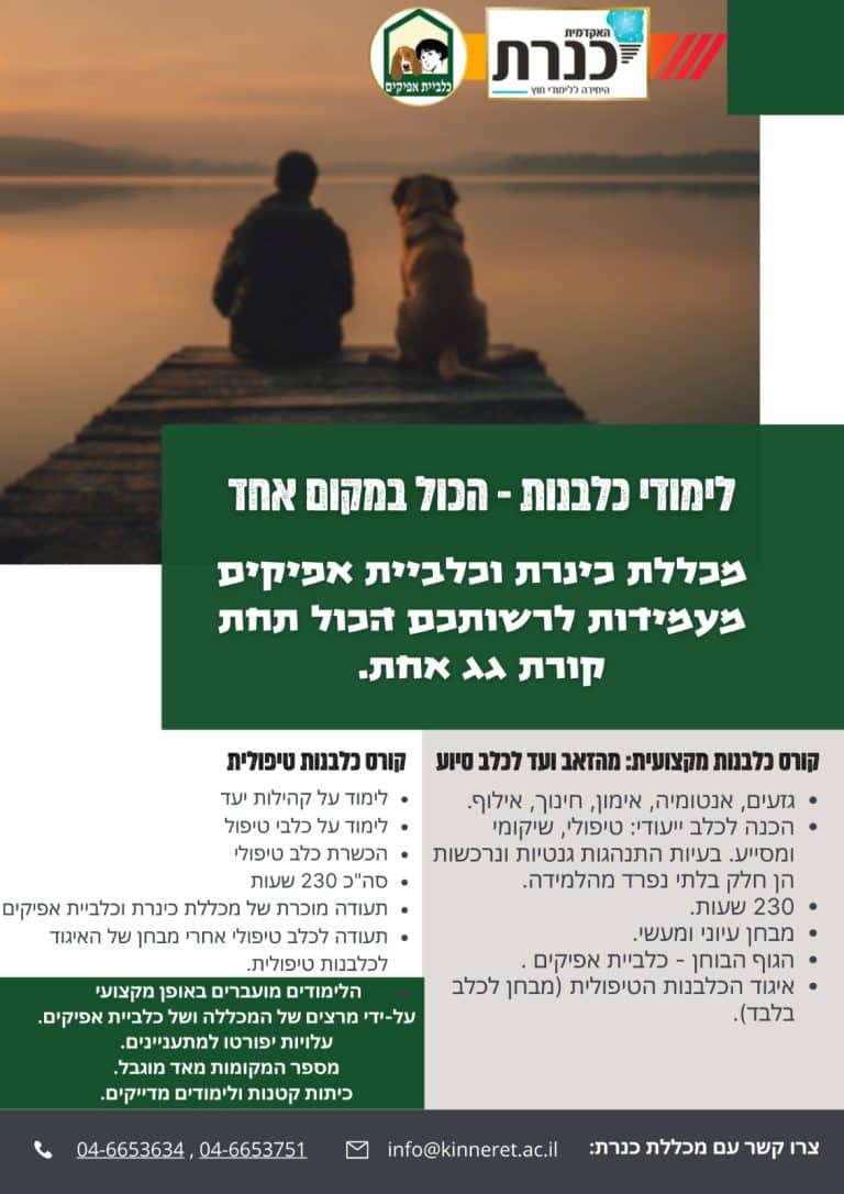 לימודי כלבנות