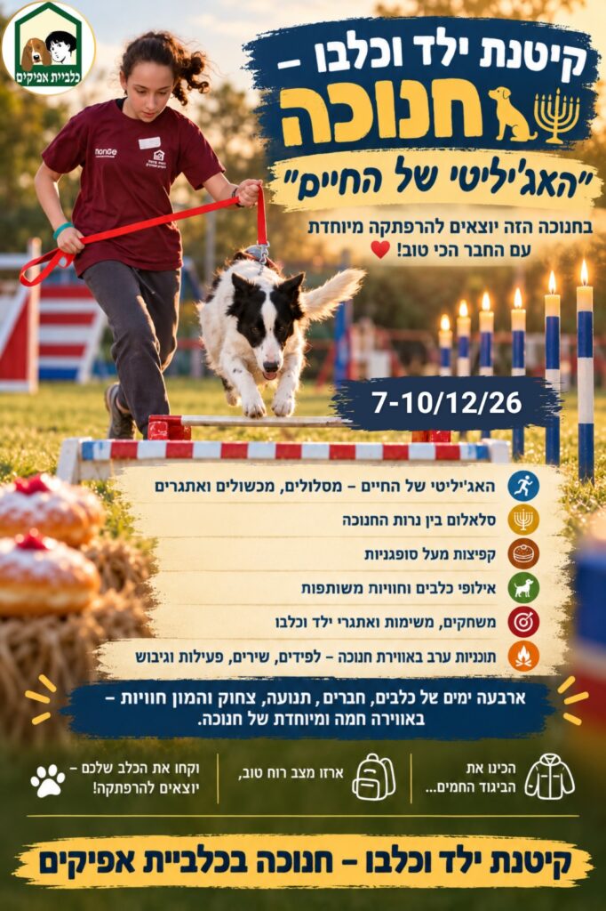קייטנת חנוכה