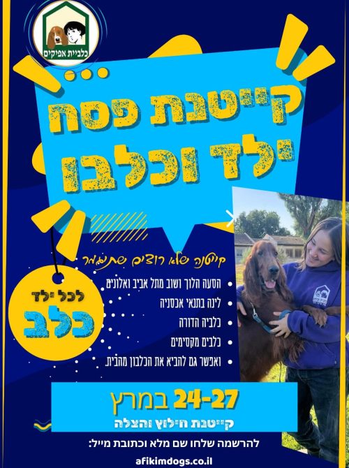 קייטנת פסח 2026