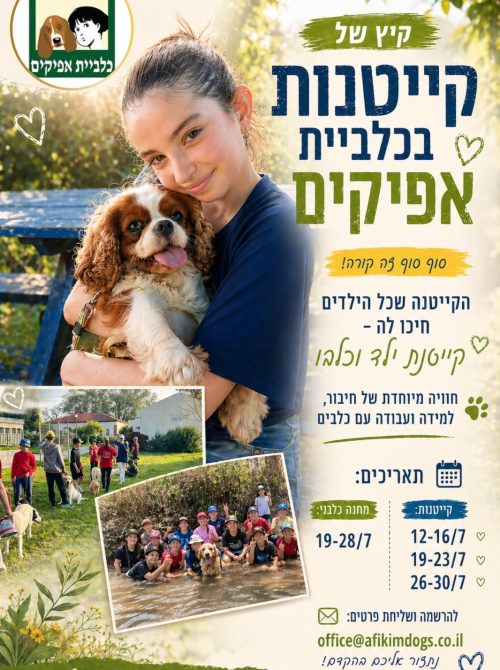 קייטנת ילד וכלבו קיץ 2026