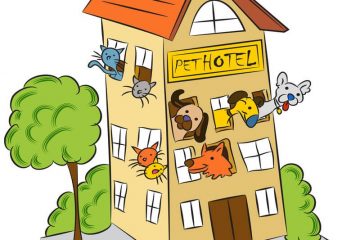 פנסיון כלבים בפסח – מה חשוב לדעת לפני שמחליטים
