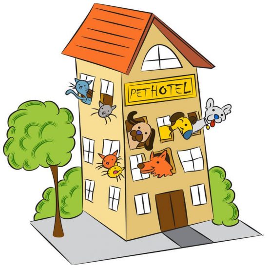 pet-hotel-image pet-hotel-image