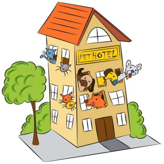pet-hotel-image
